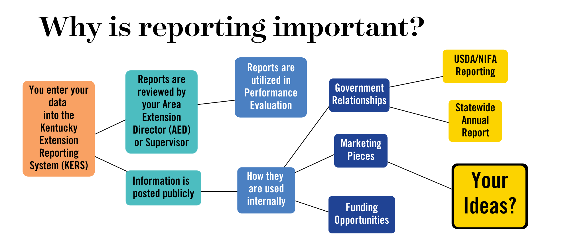 reporting-program-and-staff-development